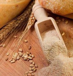 как вывести шлаки из организма